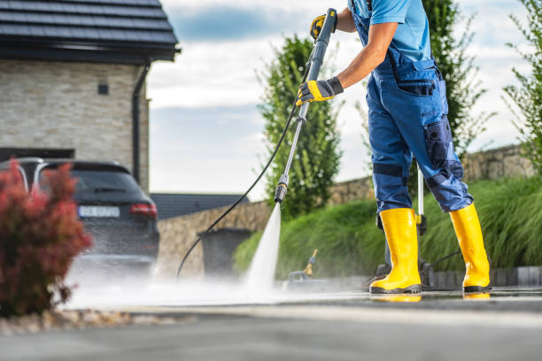 Best Dumpster Area Cleaning  in Roselawn, IN
